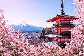 Sakura Love Story - Japan